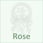 Rose & Rotling